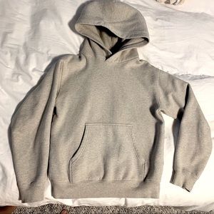 Aritzia Perfect Hoodie